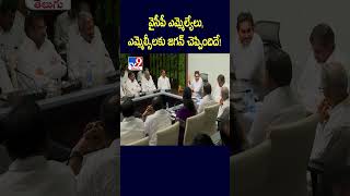 వైసీపీ ఎమ్మెల్యేలు,  ఎమ్మెల్సీలకు జగన్ చెప్పిందిదే!  - TV9