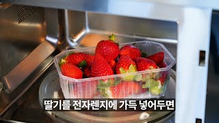 딸기 맛있을 때 전자렌지에 많이 넣어 두세요! 온가족 깜짝 놀라게 됩니다