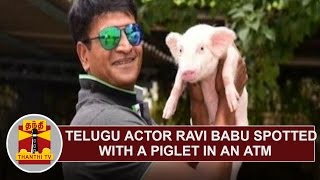 Telugu actor Ravi Babu spotted with Piglet at an ATM in Hyderabad | Thanthi TV