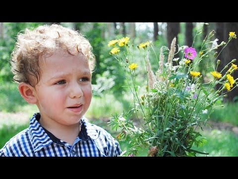 What Is Considered Mild Autism? | Autism What Is Considered Mild Autism? | Autism