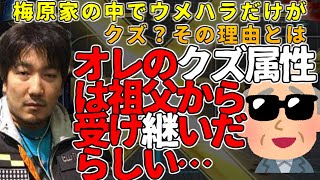 【字幕付】ウメハラ家の中でダイゴだけがまともじゃない理由を、40歳にして初めて知った梅原大吾