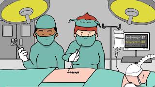 Brain Farts - Surgery | Bird Brain Energy