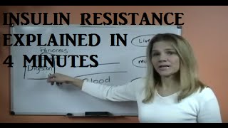 Insulin Resistance Explained