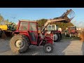 bv33620 massey ferguson 265