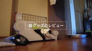 猫グッズ　カリカリーナを紹介