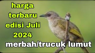 harga terbaru burung merbah/trucuk lumut edisi Juli 2024