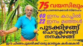 കൃഷിയേ സ്വന്തം ജീവനേക്കാൾ സ്നേഹിക്കുന്ന75കാരൻ സ്വന്തമായി വികസിപ്പിച്ചെടുത്ത കാച്ചിൽ സ്വയം ശൈലി കൃഷി