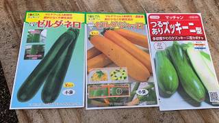 夏野菜 ズッキーニ オクラ インゲン種まき準備 2019 0318