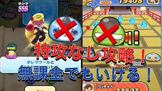 ［ぷにぷに］よこどり特攻なし攻略！無課金でもいける！　ホレマクール　イケメン武道会