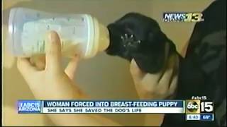 WEIRD STORY: Woman breastfeeds puppy