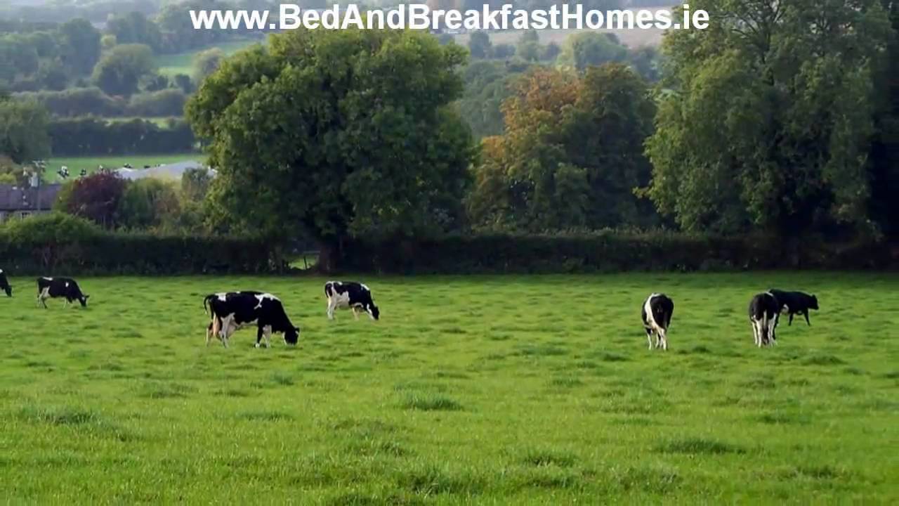 Ballindrum Farm B & B Athy Kildare Ireland - YouTube