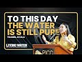 To This Day The Water is Still Pure by Ysabel Ayala | PACRIM 2024