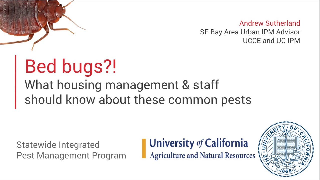 Bed Bug Training For Landlords