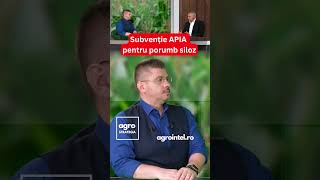 Subvenție APIA pentru porumb siloz #agrointeligenta #agrostrategia #stiriagricole #agrointelro