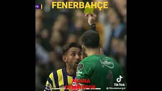 Adana Demirspor- Fenerbahçe maçı Ali palabıyık şikeleri