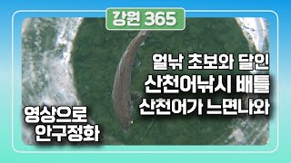 [강원365]단 2분만에 낚시초보가 얼음낚시 달인...2020년 화천 산천어축제 , 산천어 낚시 꽝 없는 대박  꿀팁(feat.노지현 아나운서)