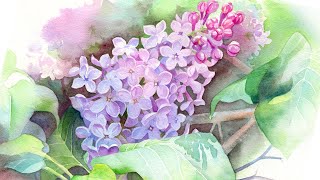 LILAC WATERCOLOR 💜 Advanced Tutorial Including Leaves & Background Painting