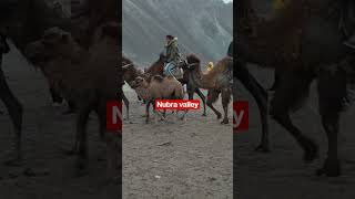 February 18, 2023 #Nubra valley #laddakh