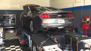 2015 Mustang 5.0 ARH with Gibson Catback