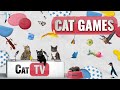 CAT Games | Ultimate Cat TV Compilation Vol 26 | 2 HOURS 🐝🐞🦋🦎🦜🐜🐭🧵