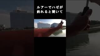 ルアーでハゼが釣れると聞いて　#shorts