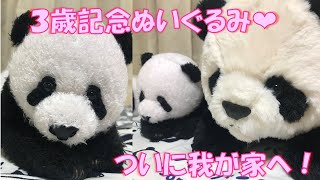 シャンシャン３歳お誕生日記念ぬいぐるみが届きました❤上野動物園【パンダ生活チャンネル】