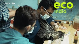 Eco India: Meet Shehzad and Saud, Delhi’s self-taught vets who treat injured birds of prey