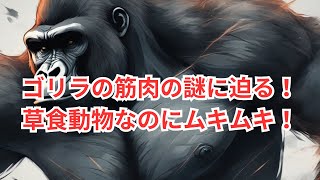 動物雑学！草食動物ゴリラの筋肉の謎に迫る！草食の巨人ゴリラの秘密！