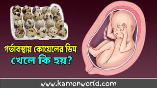 গর্ভবতী কোয়েলের ডিম খেলে কি হয় | Quail egg during pregnancy | gorvobotir mayer quailer dim