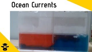 How changes in temperature create ocean currents ( Ocean Stratification Demonstration)
