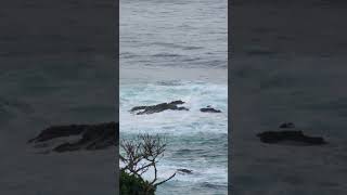 【24 07 27】【自然音】海辺の岩場に押し寄せる波　9