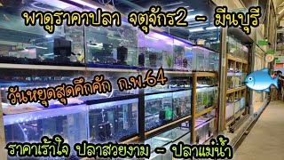 พาดูราคาปลาทุกร้าน จตุจักร2 - มีนบุรี ก.พ.64 .. ปลาสวยงาม - ปลาแม่น้ำ ราคาเร้าใจ .. วันหยุดสุดคึกคัก