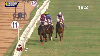 KNOTTY LEGEND wins The Roach Lifescapes Bangalore Juvenile Million (Gr.3)