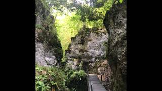 #130 Rundwanderung Teufelsschlucht Belchen - Belchenflue