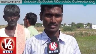 Farmers Face Drought In Mahabubnagar | Low Water Levels In Jurala Project | V6 News