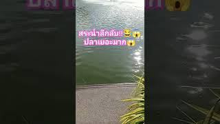 บรรยากาศสระน้ำลึกลับมีปลาเยอะมาก!!😂👻😱#ครูมิ้นท์สายฮา#ฮาๆ#ไวรัล#เทรนด์วันนี้#รีวิวของแปลก#รถแห่#short