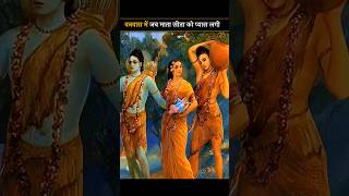 जब वनवास में माता सीता को प्यास लगी #shorts #ramayan #ram