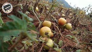 picnic spot in Ganeshpur, Balumath Latehar