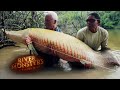 Hooking a Monsterous Arapaima On a Fly | ARAPAIMA | River Monsters