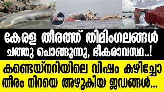 KERALA COAST തിമിംഗലങ്ങള്‍ ചത്തു പൊങ്ങുന്നു;