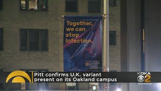 Pitt Reports Confirmed Case Of UK Coronavirus Variant