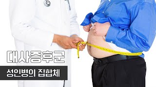 고지방 음식 섭취는 늘어나고 움직임은 줄어들고! I 비만이 질병이면 대사증후군 I 건양대학교 내분비내과 교수 원희관 I 건강플러스