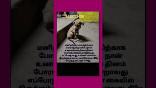 இவர்களின் குரல் உங்களுக்கு எப்போது கேட்கும்.#tommytiger #doglover#pets  #shorts#short#shortvideo