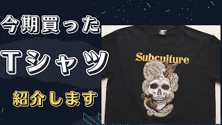 自分史上最高額のヴィンテージTシャツ購入！夏に向けてTシャツ紹介します！