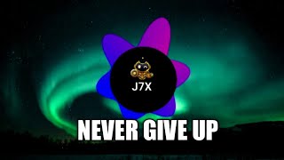 Never Give Up - Sia ( no copyright music )
