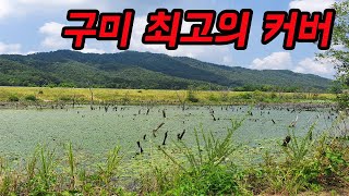 구미 최고의 커버 독동수로를 아십니까? / 배스낚시