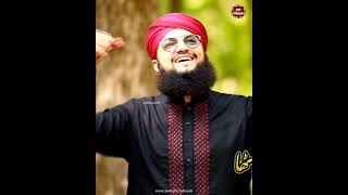 Hafiz Tahir Qadri naats - Rohul ameen to thak gaye - Hafiz Tahir Qadri new naats status 2021