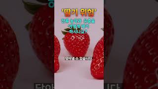 딸기 잔류 농약 10초 만에 깨끗하게 해결하는 방법 , 농약 끝! 🍓💦