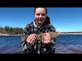 atv trip early spring aggressive fish u0026 delicious cookups at the main dam western newfoundland