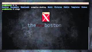 Linux Tutorial for Beginners - 22 - Processes